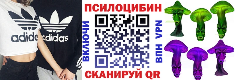 купить наркотики сайты  Омск  Галлюциногенные грибы Cubensis 